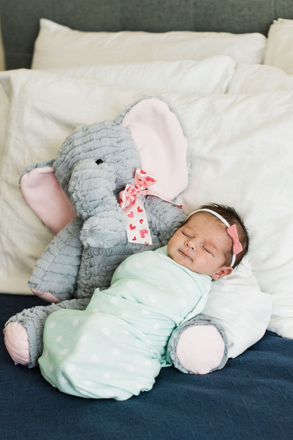 Newborn - Perspective Portraits