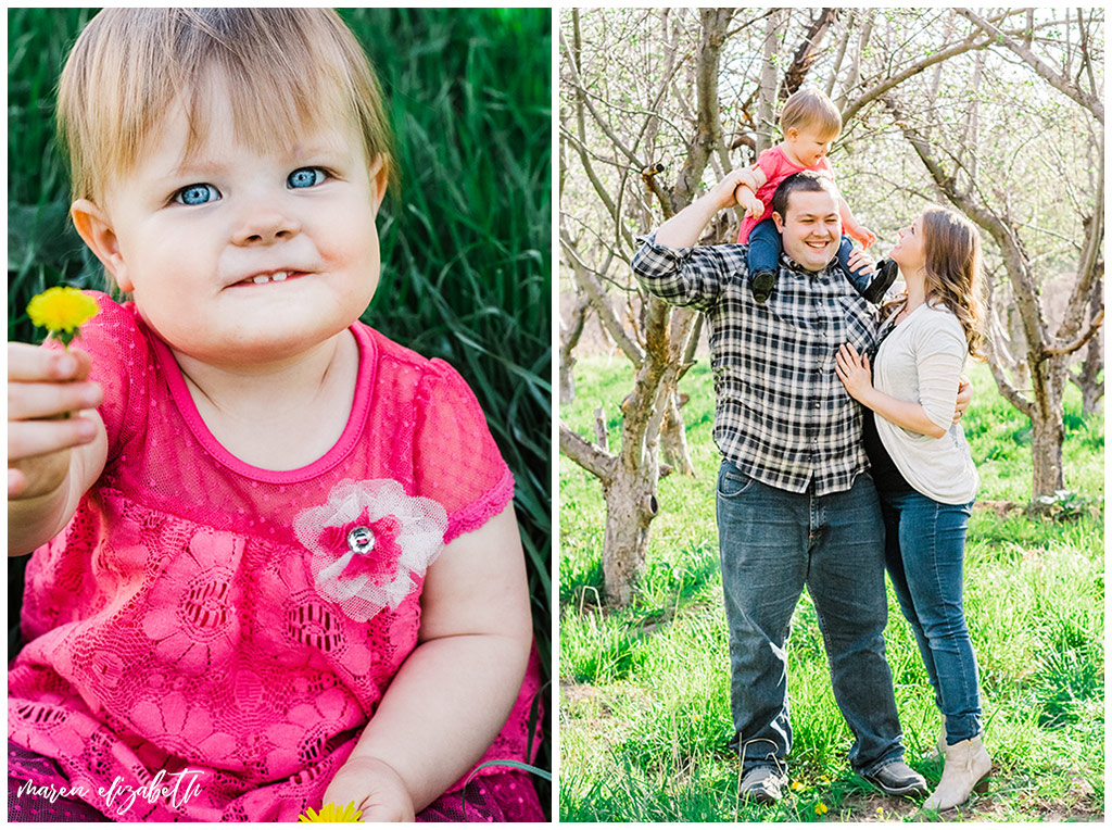 Family spring mini session at the provo orchard with a toddler. I love taking pictures of toddlers because of their wiggly energy and huge personalities. | Gilbert Family Photographer | Maren Elizabeth Photography