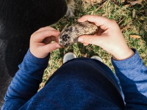 My favorite outdoor activity for toddlers is making nature collections. I'm a firm believer that kids need to be allowed to make messed and play in the dirt and this activity is perfect for encouraging that kind of adventurous play. | Arizona Photographer | Maren Elizabeth Photography