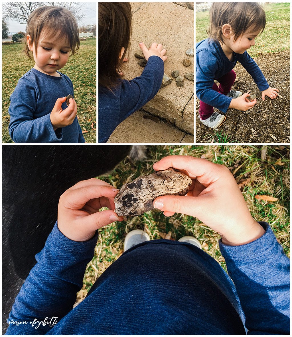 My favorite outdoor activity for toddlers is making nature collections. I'm a firm believer that kids need to be allowed to make messed and play in the dirt and this activity is perfect for encouraging that kind of adventurous play. | Arizona Photographer | Maren Elizabeth Photography