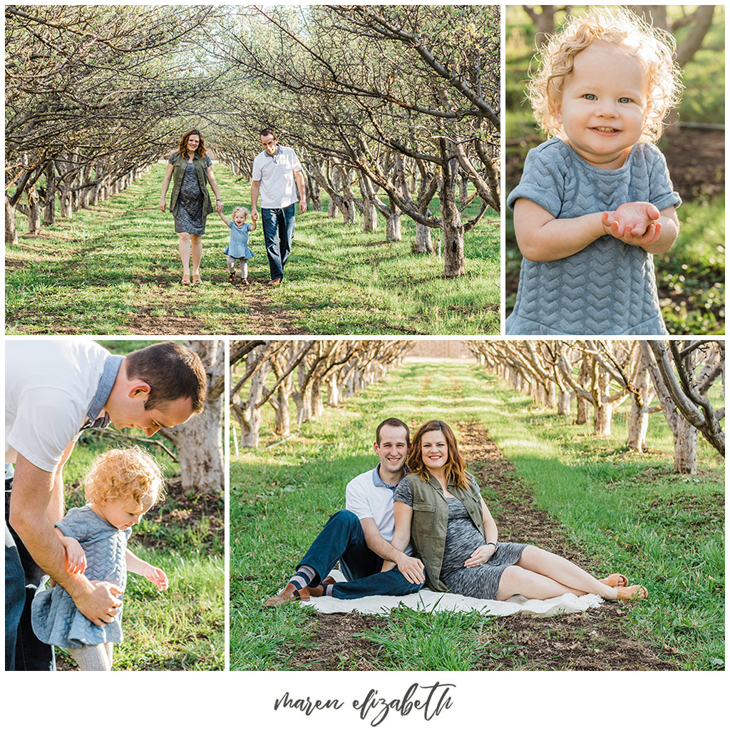 Family Pictures in a Spring Orchard. Maternity Family Pictures with Toddler | Arizona Family Photographer | Maren Elizabeth Photography