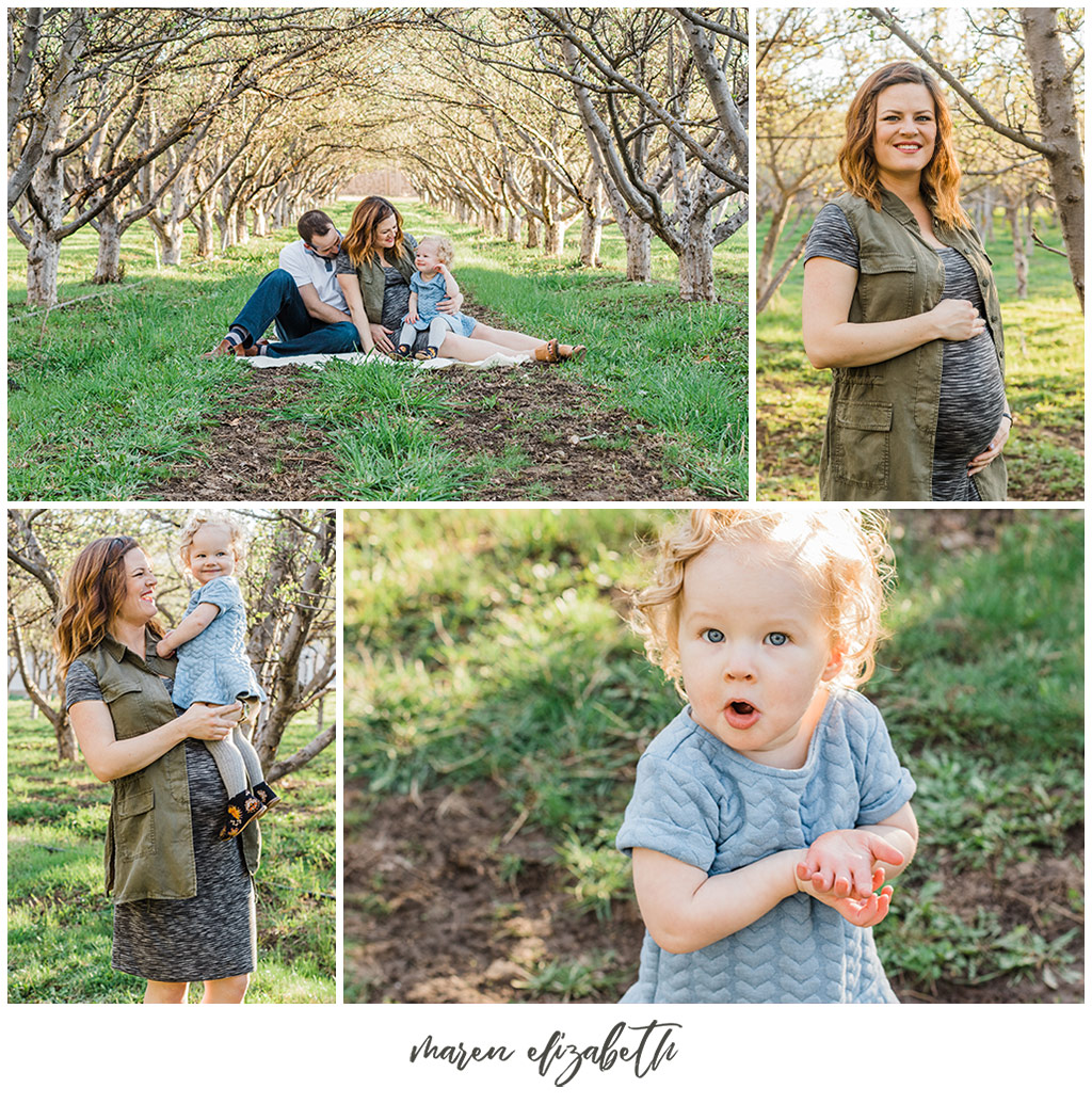 Family Pictures in a Spring Orchard. Maternity Family Pictures with Toddler | Arizona Family Photographer | Maren Elizabeth Photography