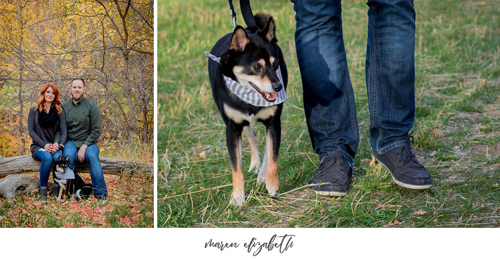 Couples pictures with dog at Jolly's Ranch in Hobble Creek Canyon in Utah. | Arizona Family Photographer | Maren Elizabeth Photography