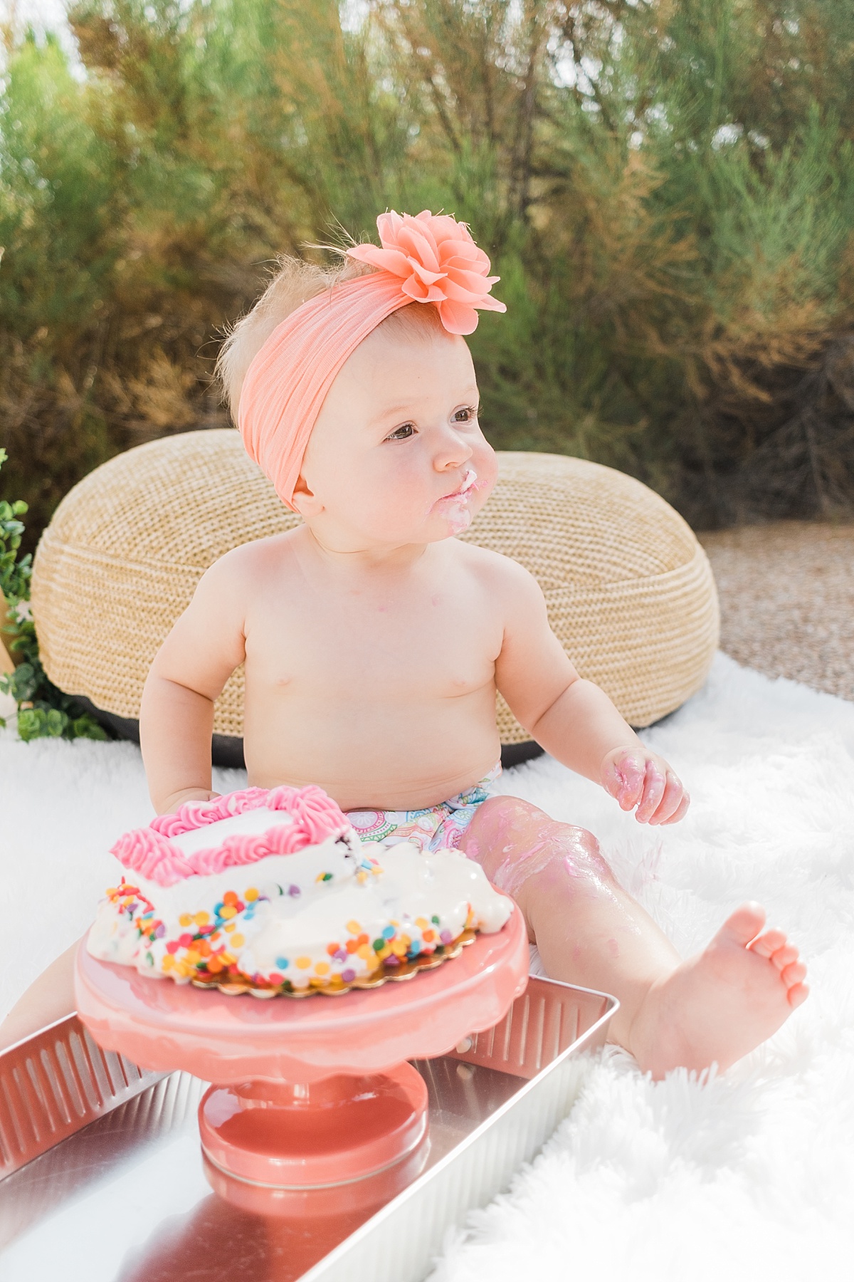 Cake Smash Mini Sessions | August | East Valley Phototographer