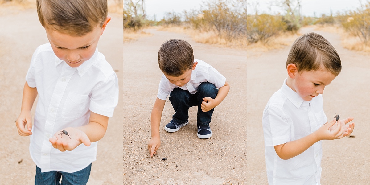 McDowell Sonoran Preserve Family Pictures | East Valley Photographer