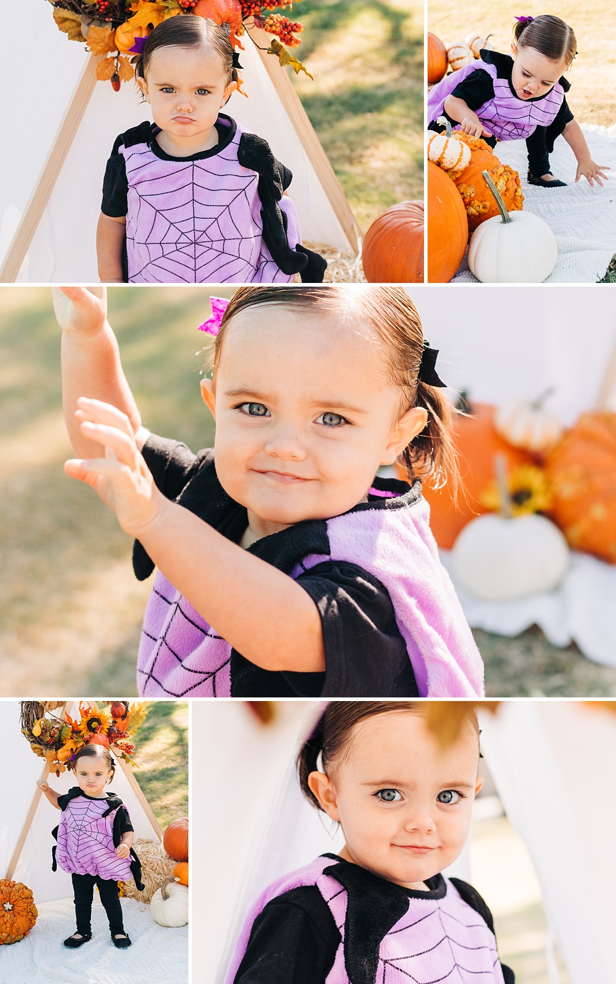 Halloween Mini Sessions 2019 | Gilbert Family Photographer