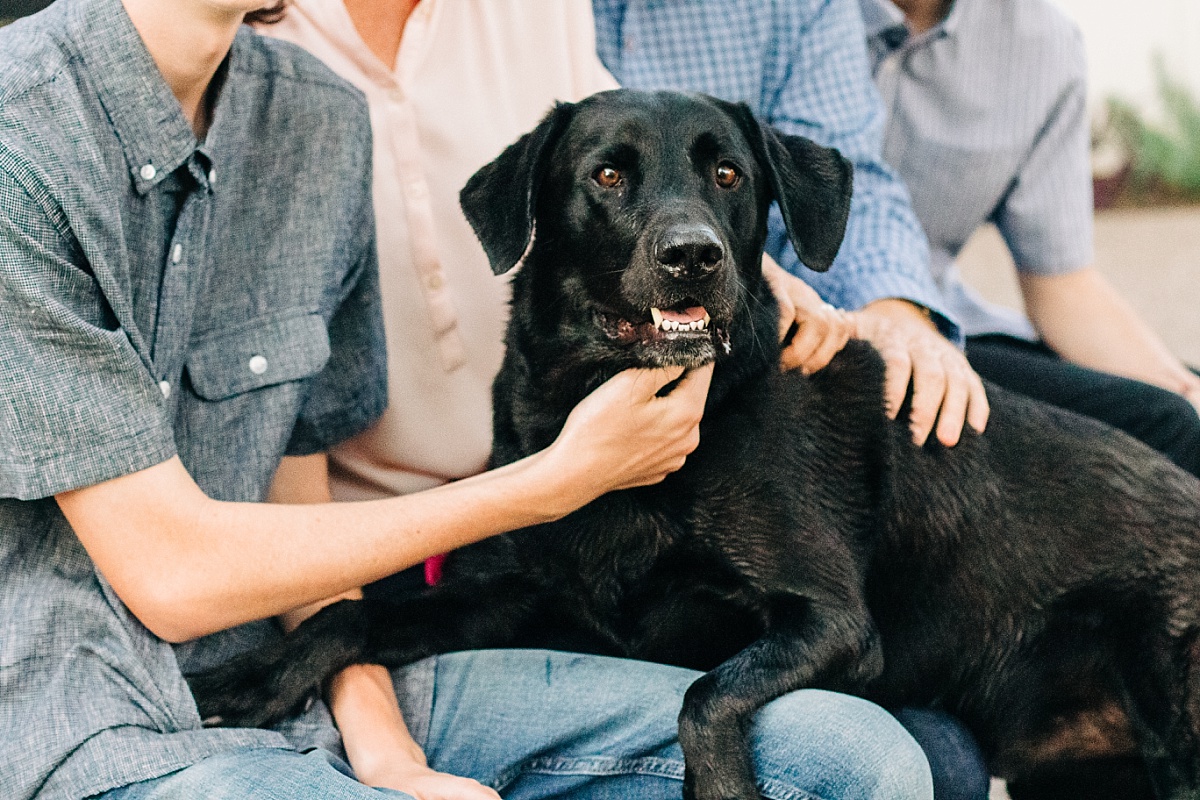 North Phoenix Family Photographer