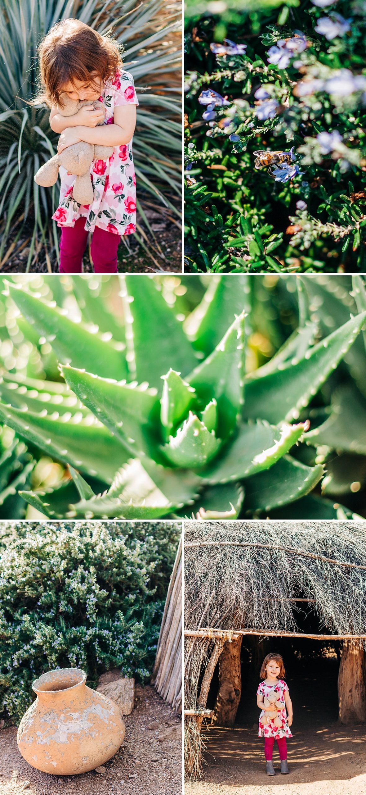 Desert Botanical Garden Community Day | Arizona Photographer