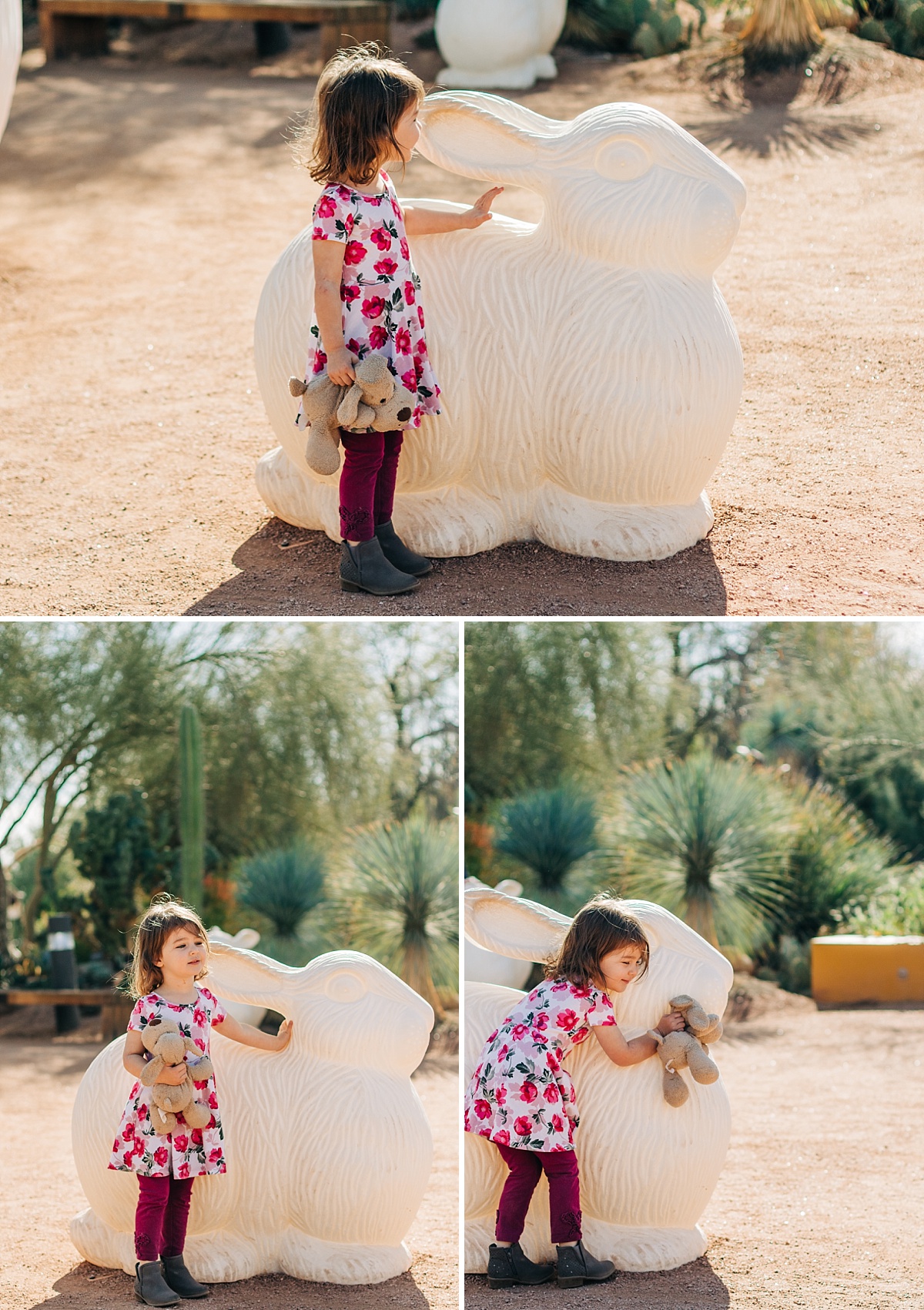 Desert Botanical Garden Community Day | Arizona Photographer