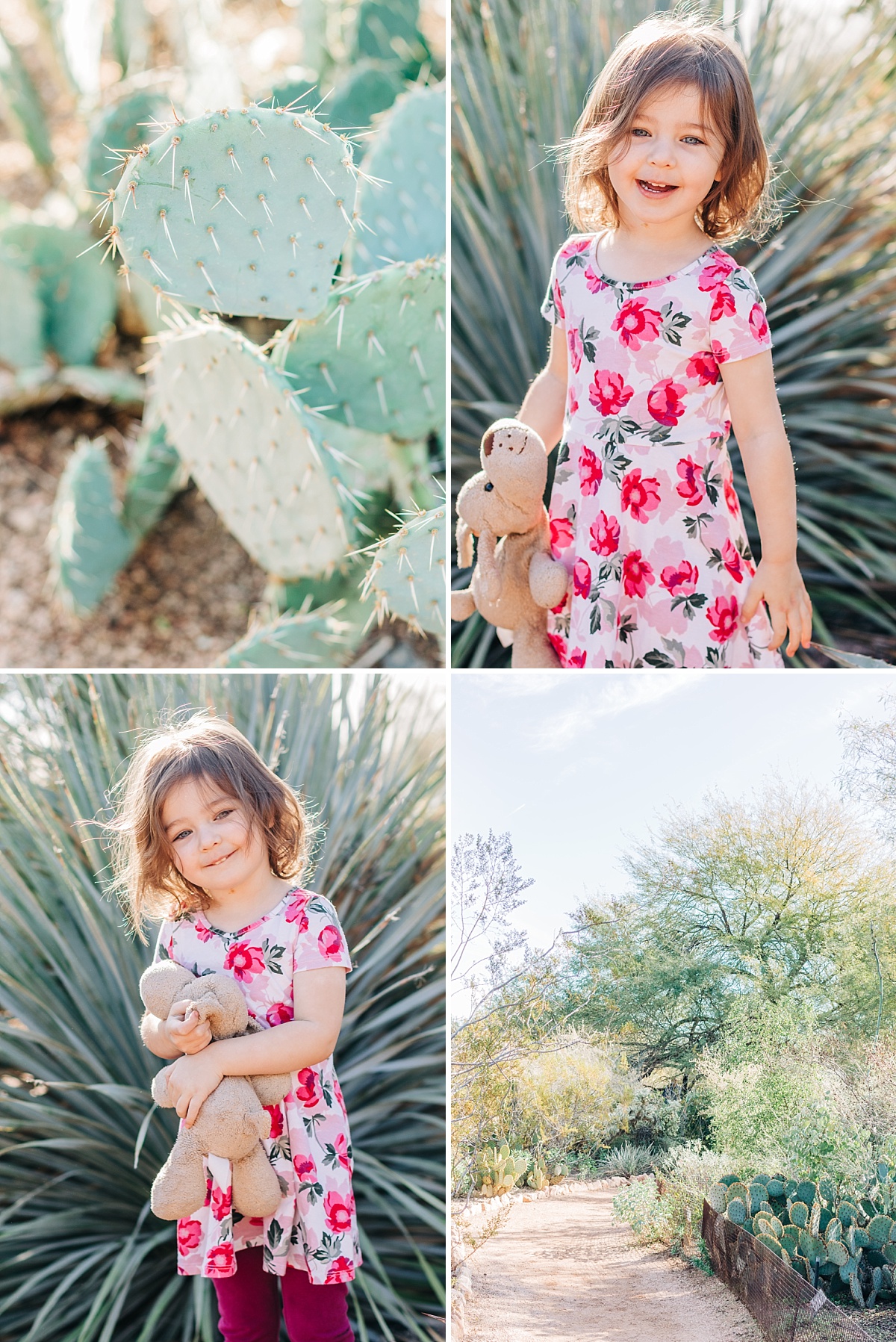 Desert Botanical Garden Community Day | Arizona Photographer