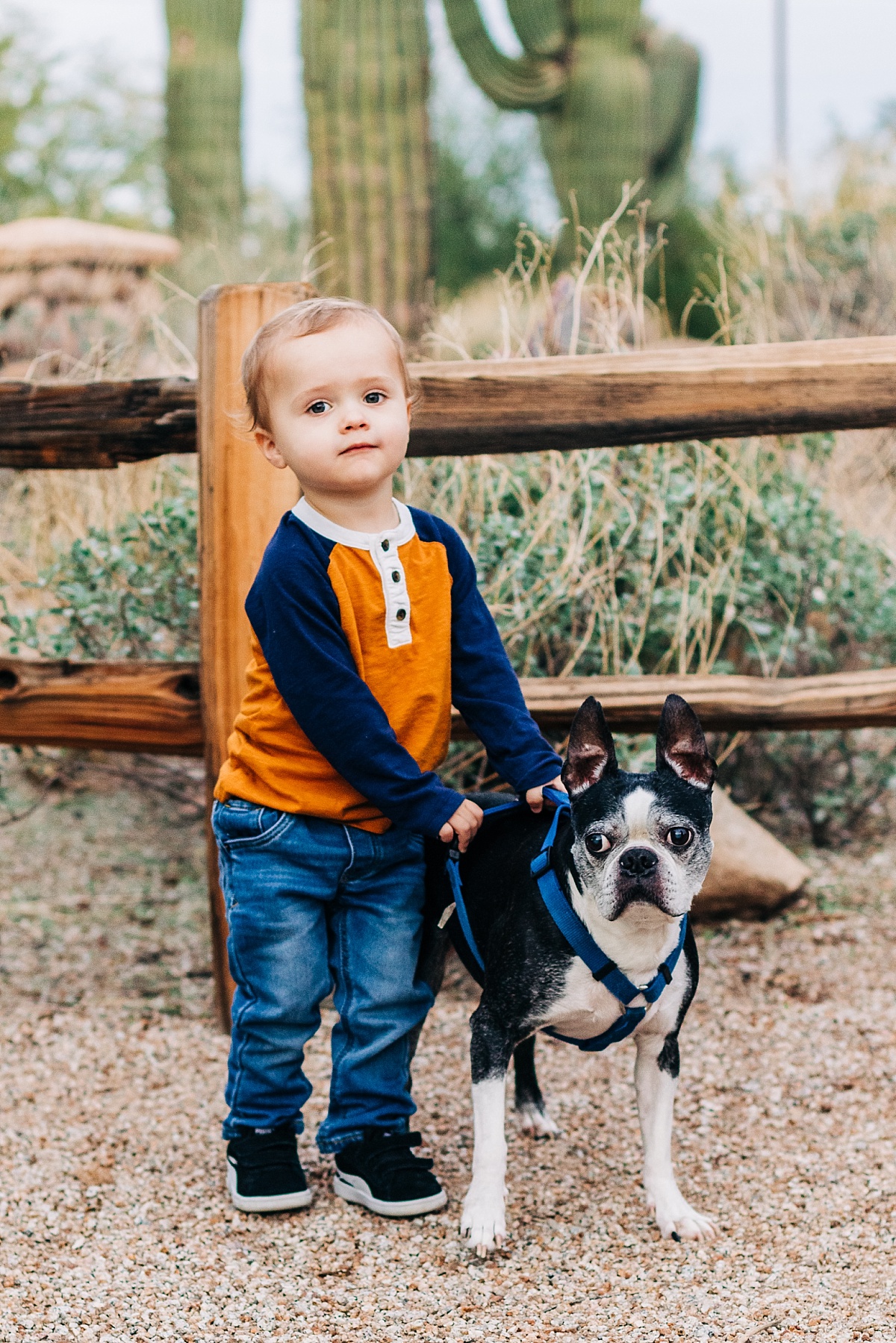 Riparian Preserve at Water Ranch | Mini Session