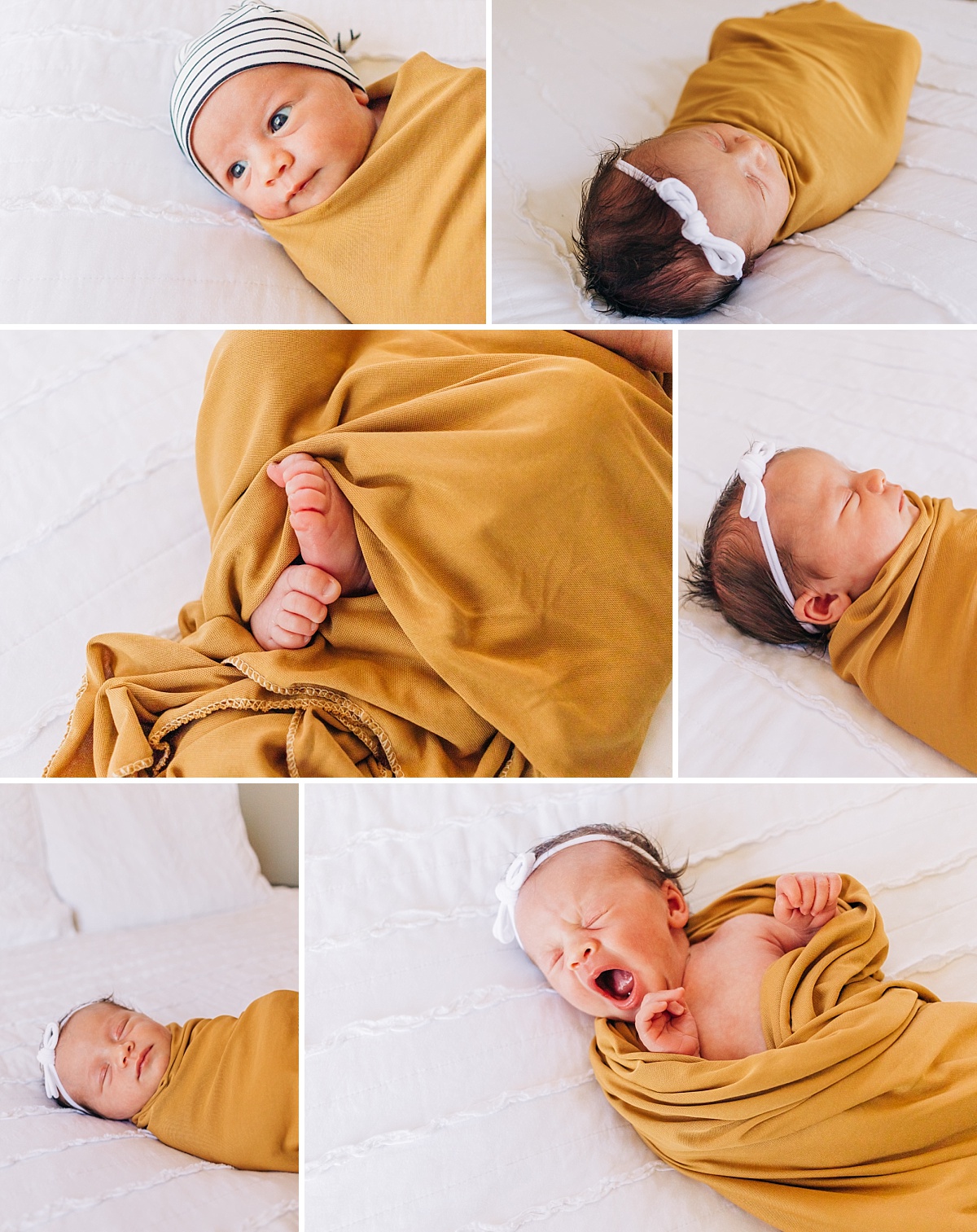 Queen Creek Newborn Photographer