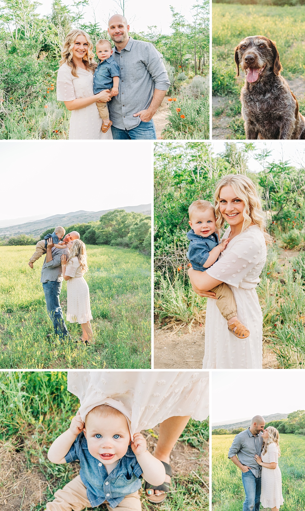 Wildflower Family Photos