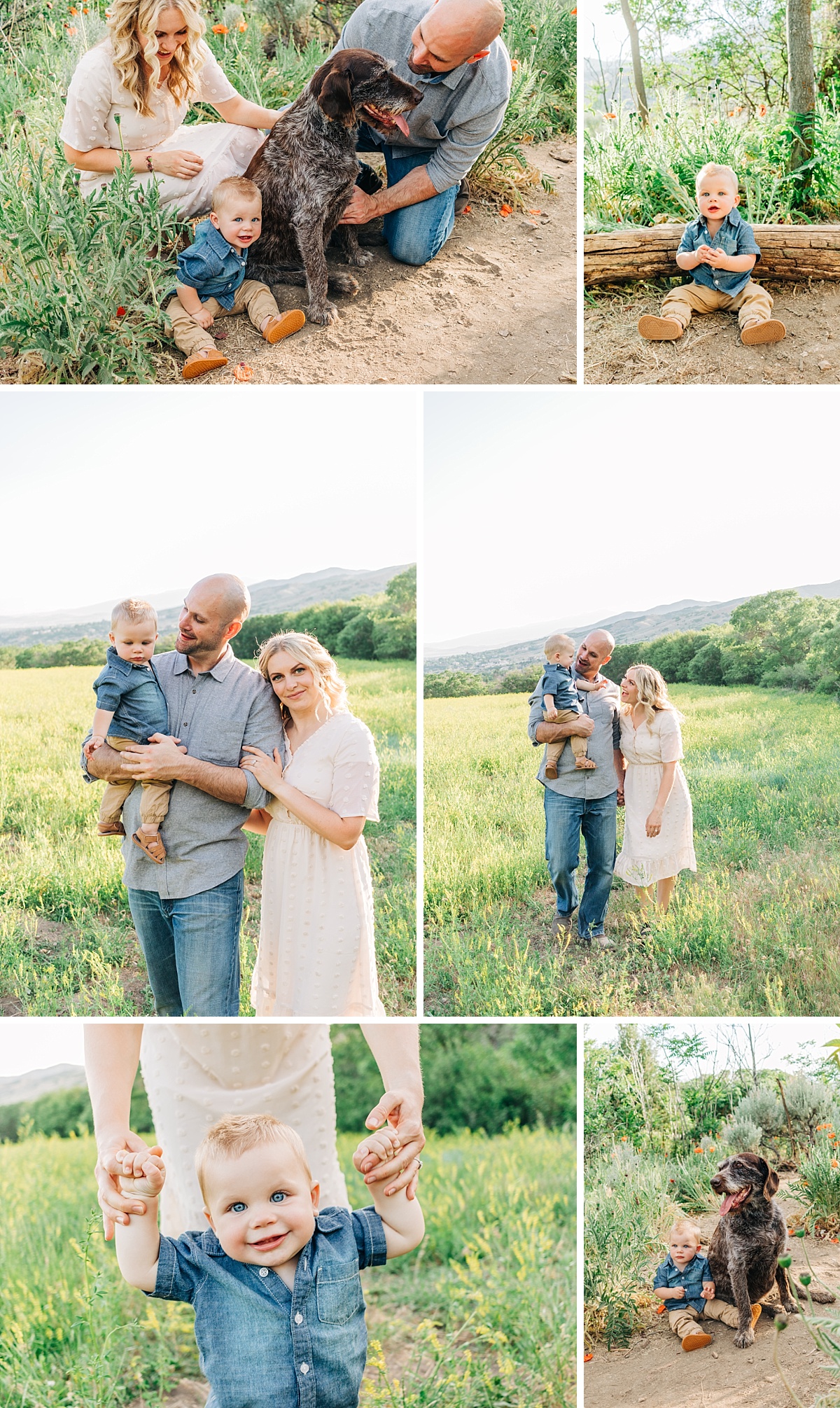 Wildflower Family Photos