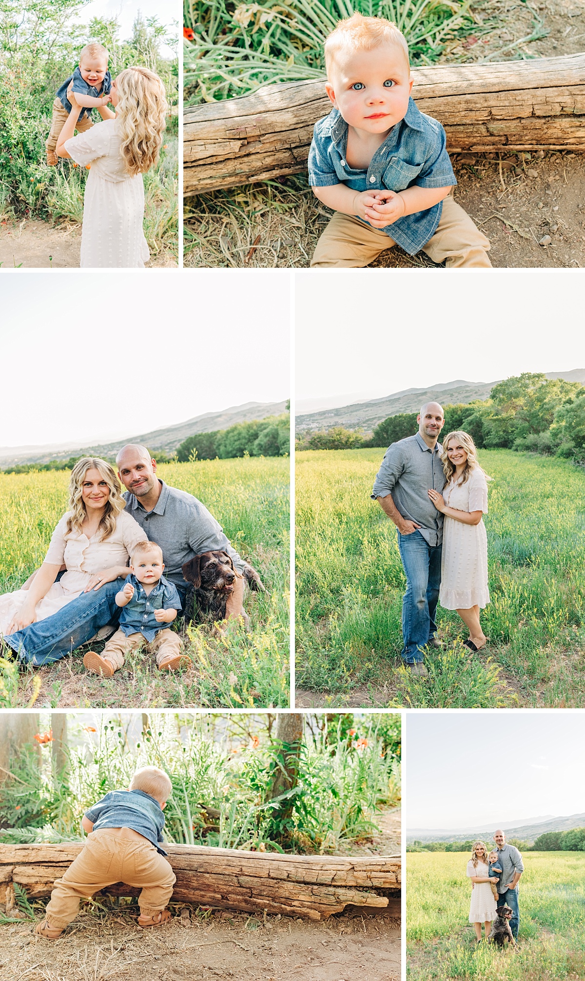 Wildflower Family Photos