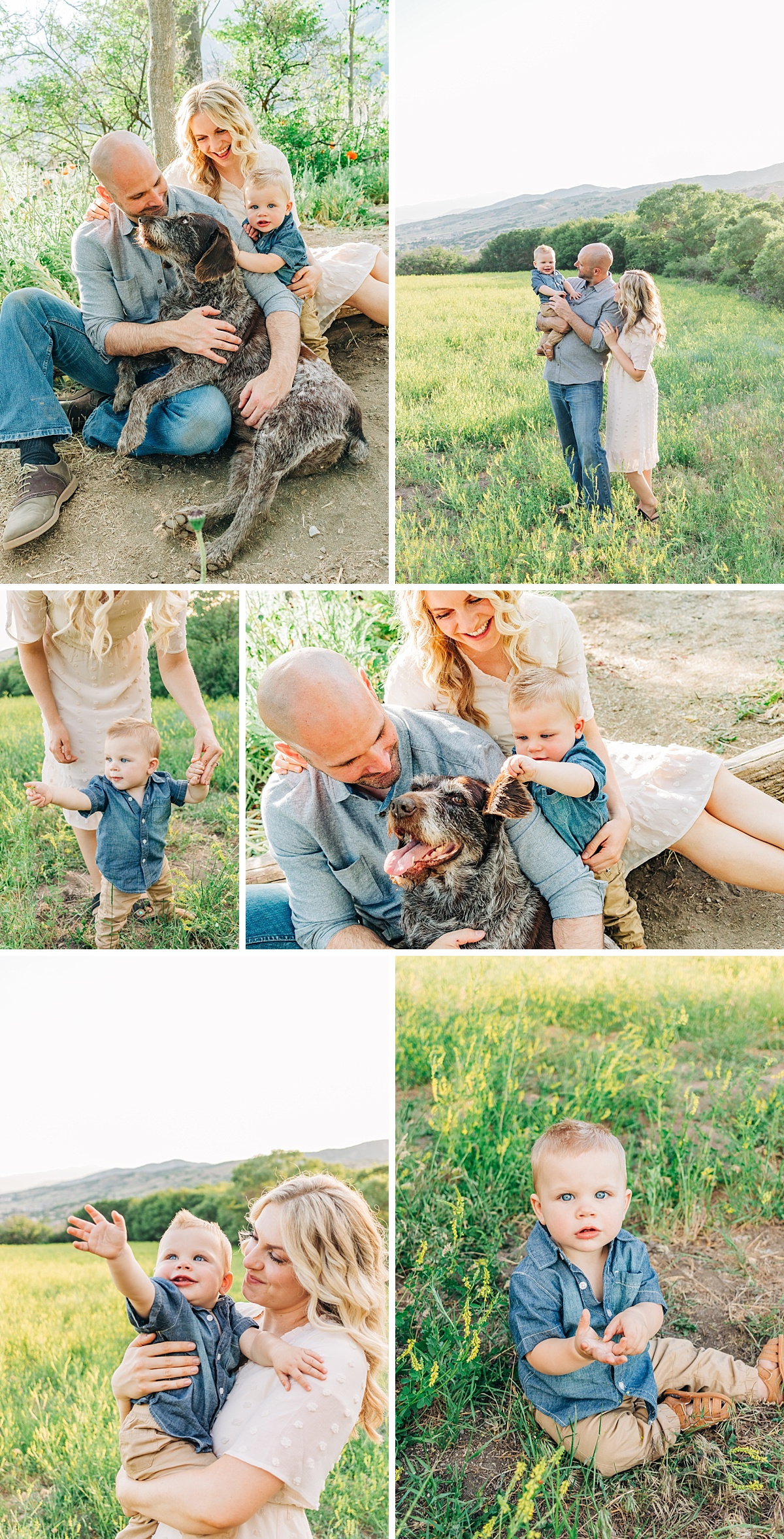 Family Photos in a Field of Wildflowers