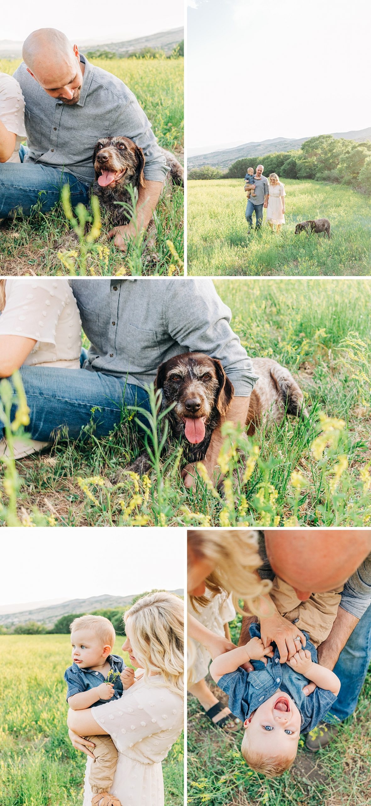 Family Photos in a Field of Wildflowers