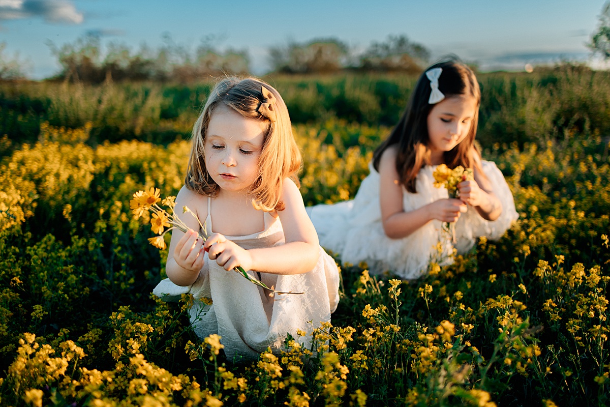 Arizona Wildflower Photo Shoot