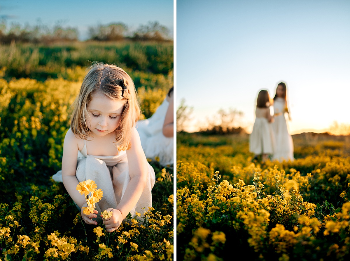 Arizona Wildflower Photo Shoot