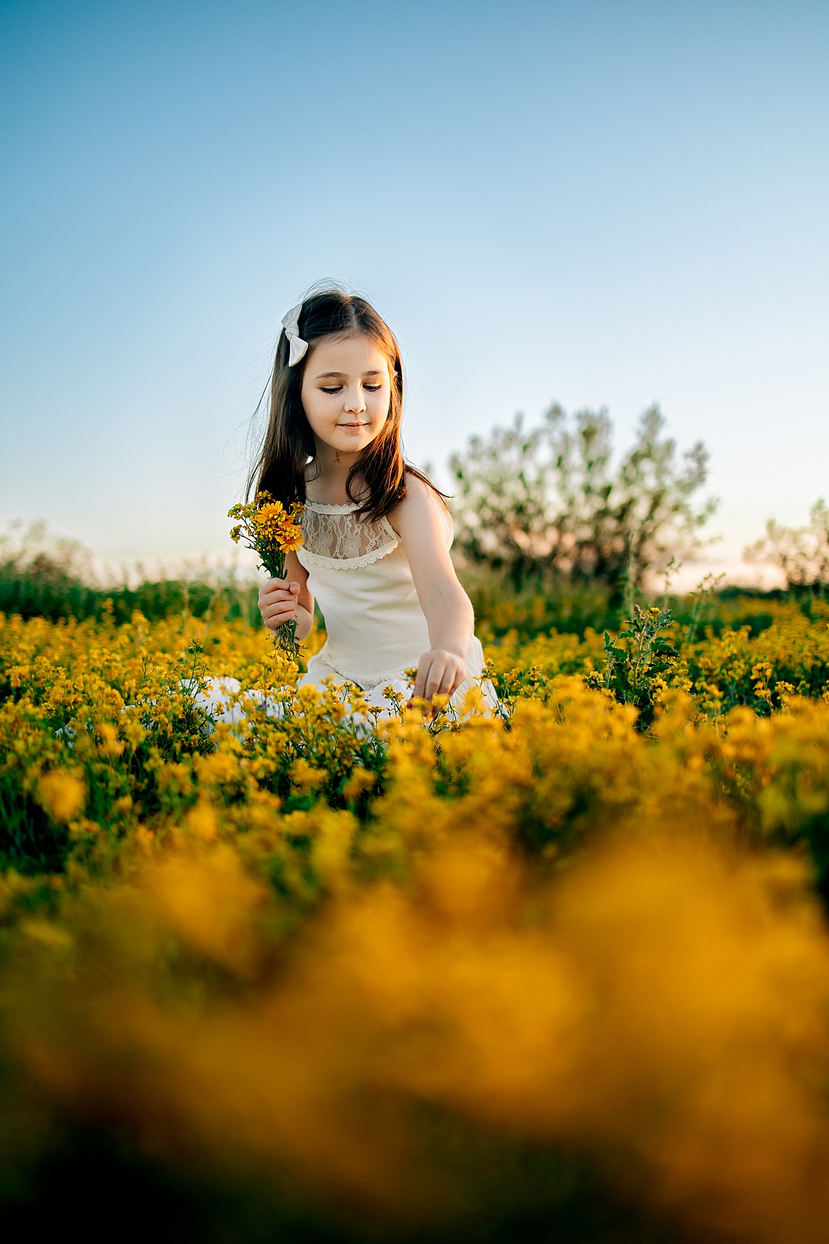 Arizona Wildflower Photo Shoot