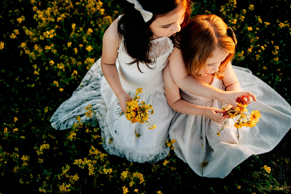 Arizona Wildflower Photo Shoot