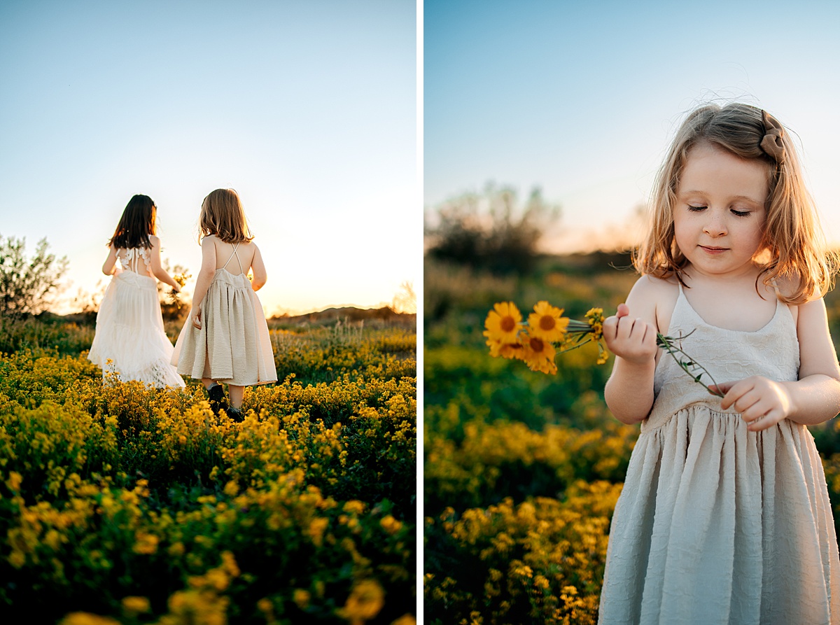 Arizona Wildflower Photo Shoot