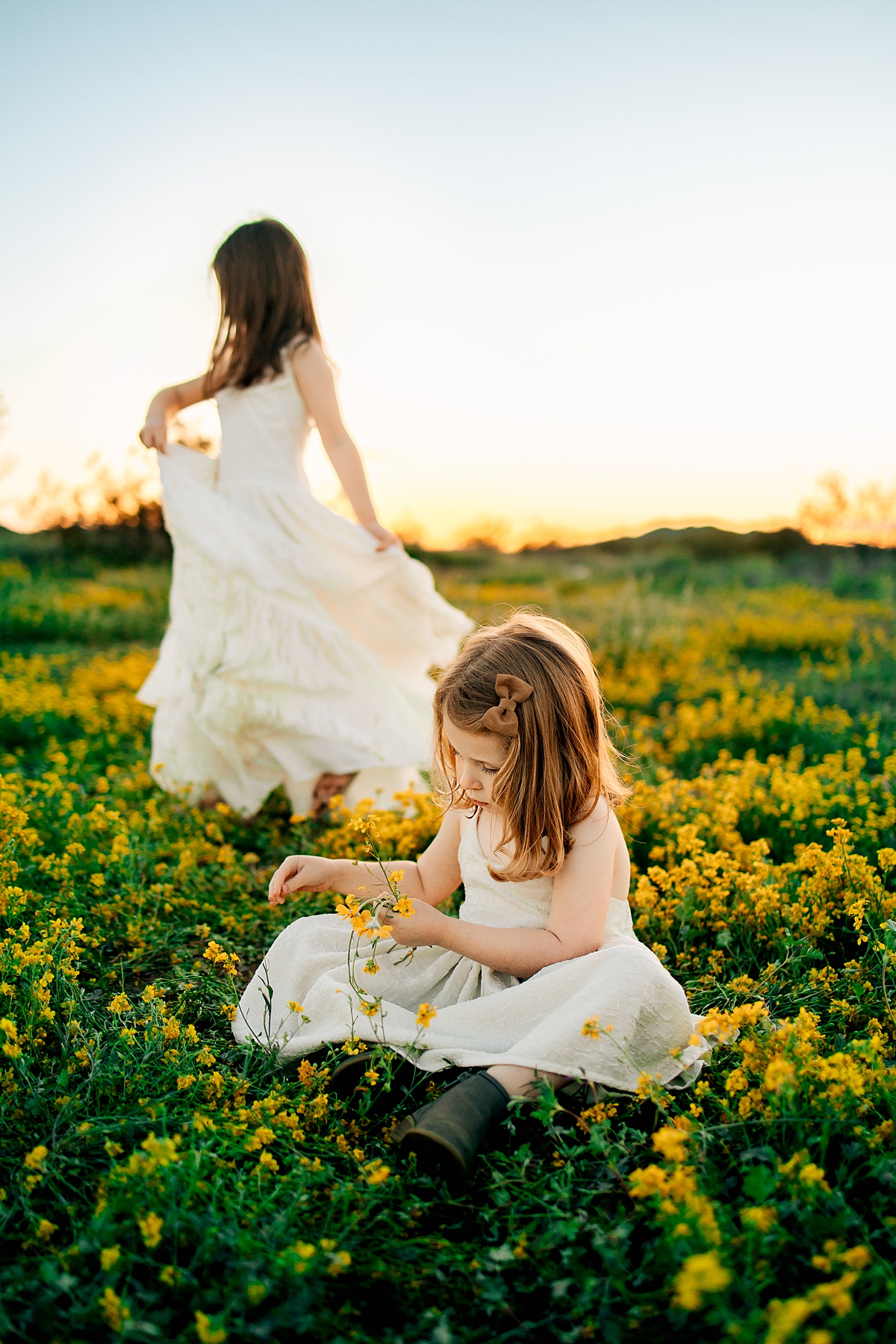 Arizona Wildflower Photo Shoot