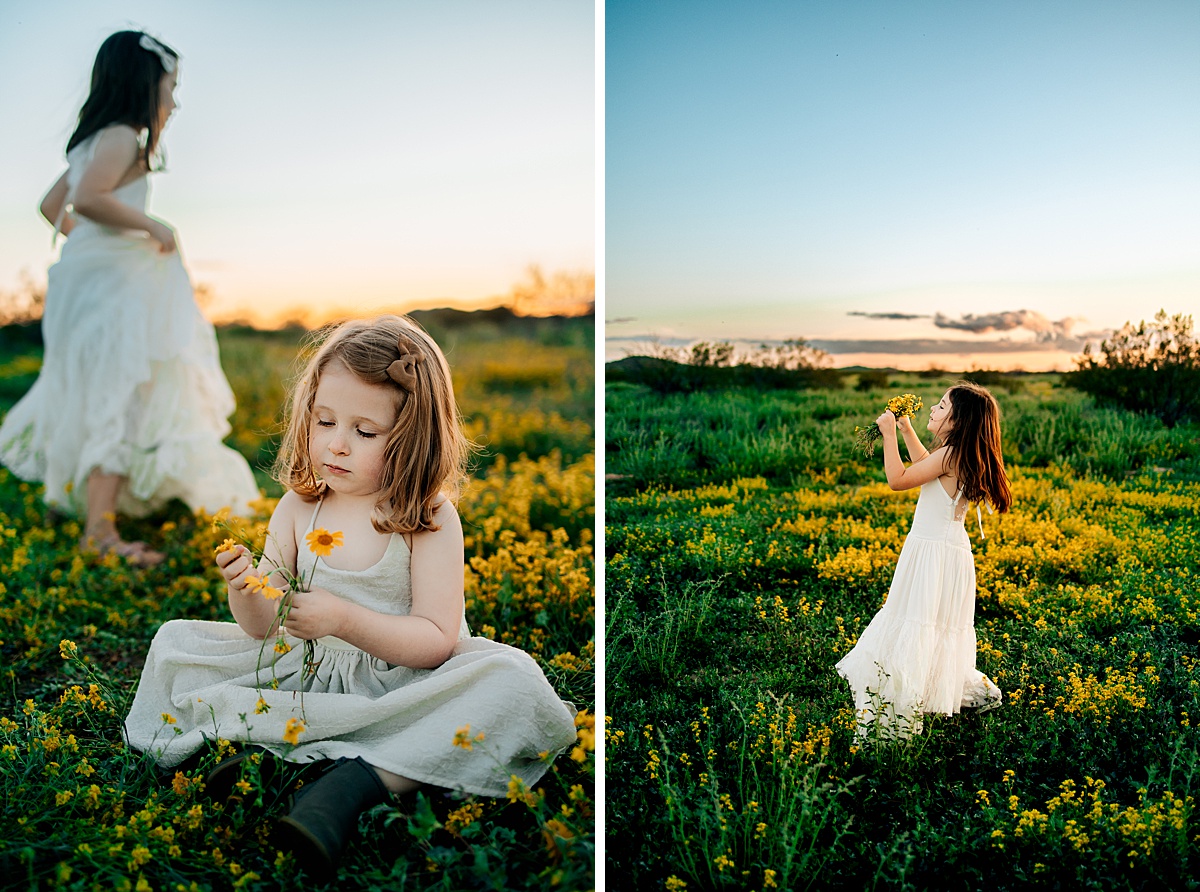 Arizona Wildflower Photo Shoot