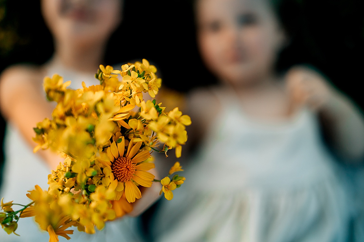 Arizona Wildflower Photo Shoot